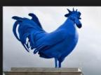 huddersfieldcock's Avatar